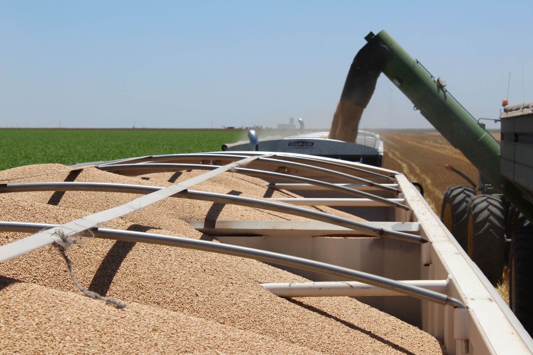 Generic Farming Photo